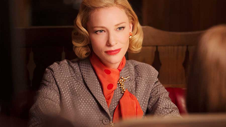 Personnage lesbien Carol Aird dans le film Carol