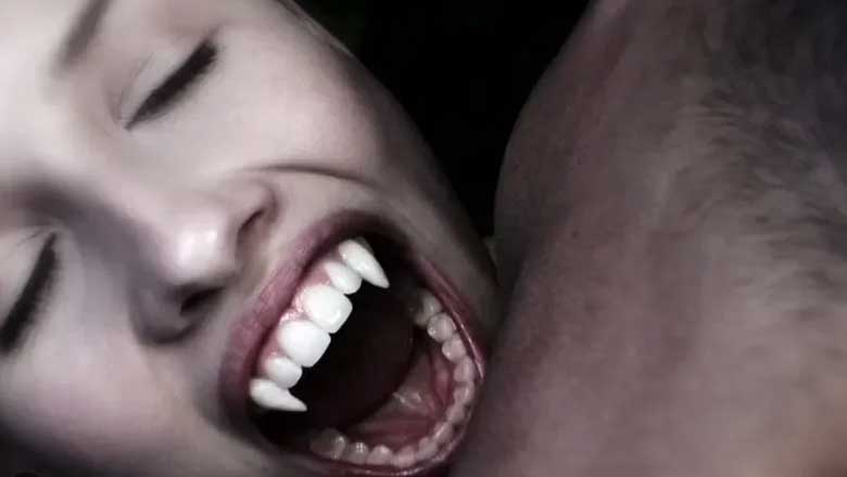 Netflix a annulé la série de vampires lesbiennes First Kill après une seule saison