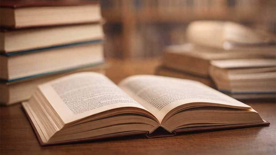 Incipits Celebres Debuts Romans