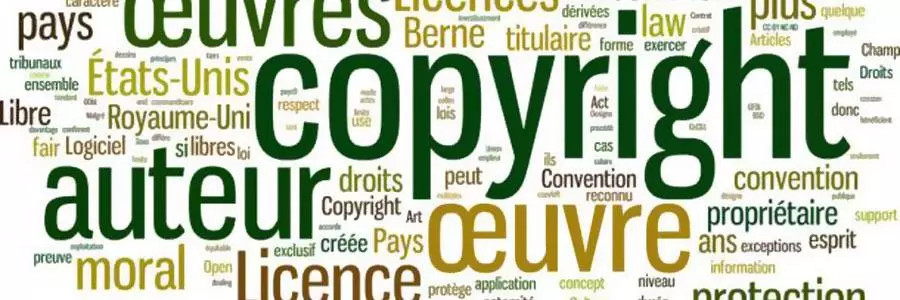Droitsdauteurs2