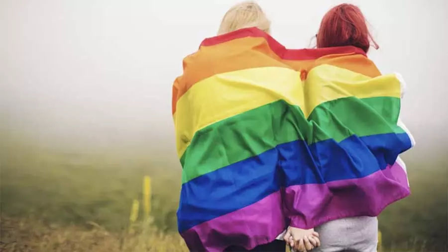 La Litterature Lesbienne Est Elle Politique