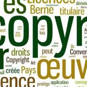Droitsdauteurs2 D4874a8d