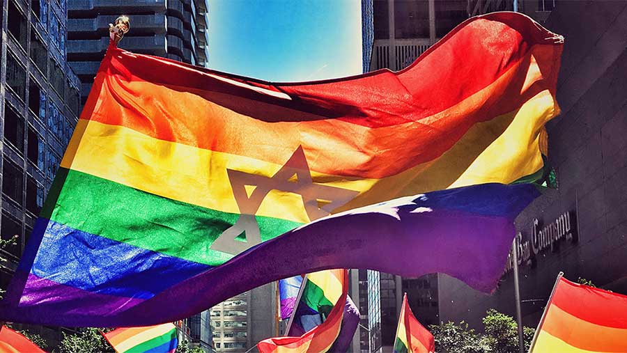 Identité juive lesbienne, entre culture, mémoire et invisibilité