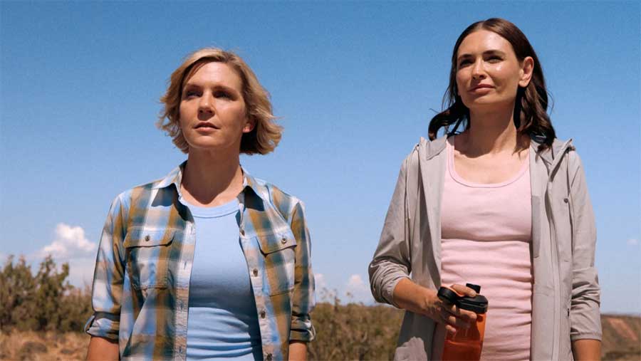 Pluribus Carol Sturka Lanti Heroine Lesbienne Dont Lamerique Avait Besoin