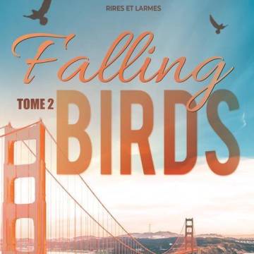 Falling Birds T2