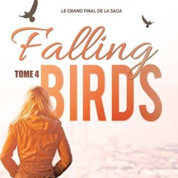 Falling Birds T4