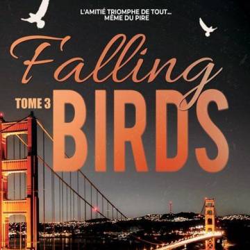 Falling Birds T3