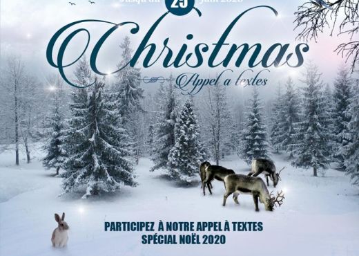 Appel à textes Spécial Noël 2020