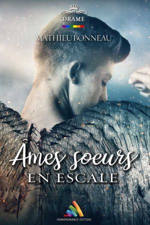 Âmes sœurs en escale - Romance gay