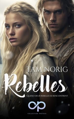 Rebelles Romance Viking Ebook2 46467e4d