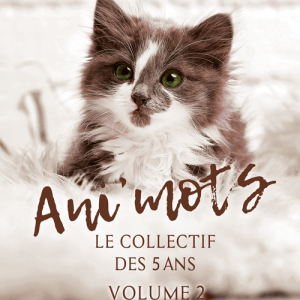 FF-volume2-site-5fc5aa6d Collectif Réseau des lesbiennes du Québec