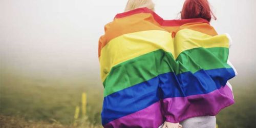 La Litterature Lesbienne Est Elle Politique 8b567c3d