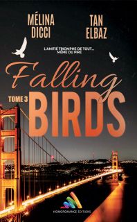 Falling Birds - tome 3