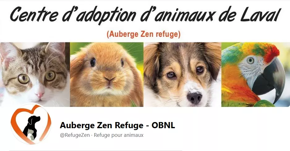 157136483_2658788461079892_4944622395914085379_n Les dons à venir pour les animaux - Actualités