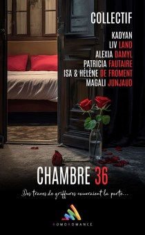 chambre36-site